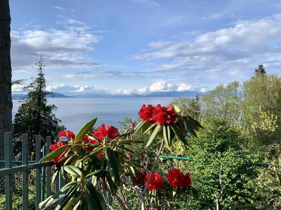 Villa Sea View