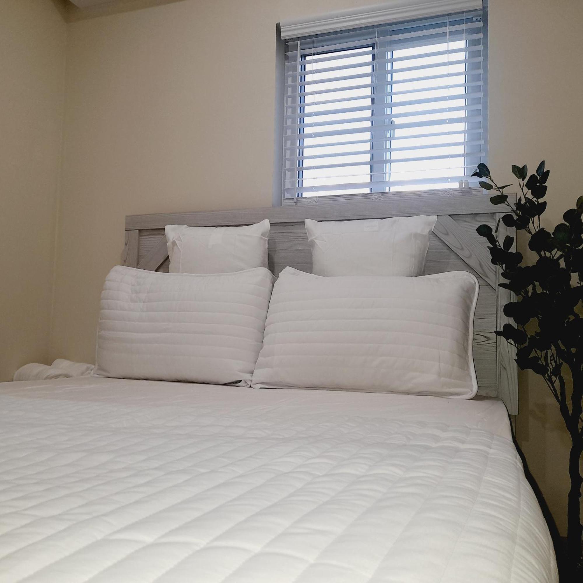 Apartment Ground Floor,1567067081:JPEG