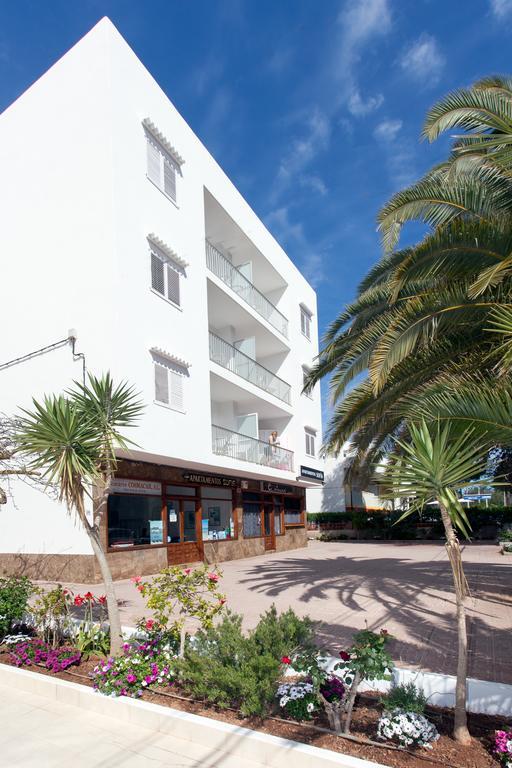 Apartamento Superior de 2 dormitorios