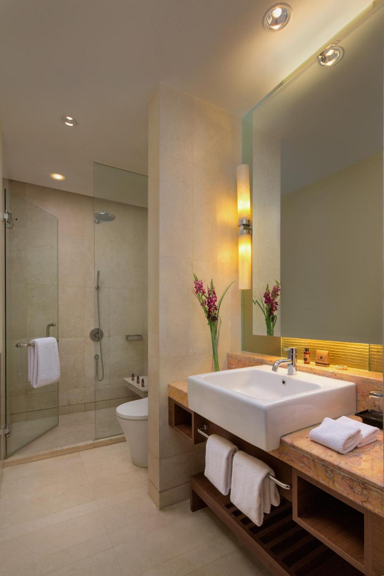 Apartamento Deluxe de 1 Quarto
