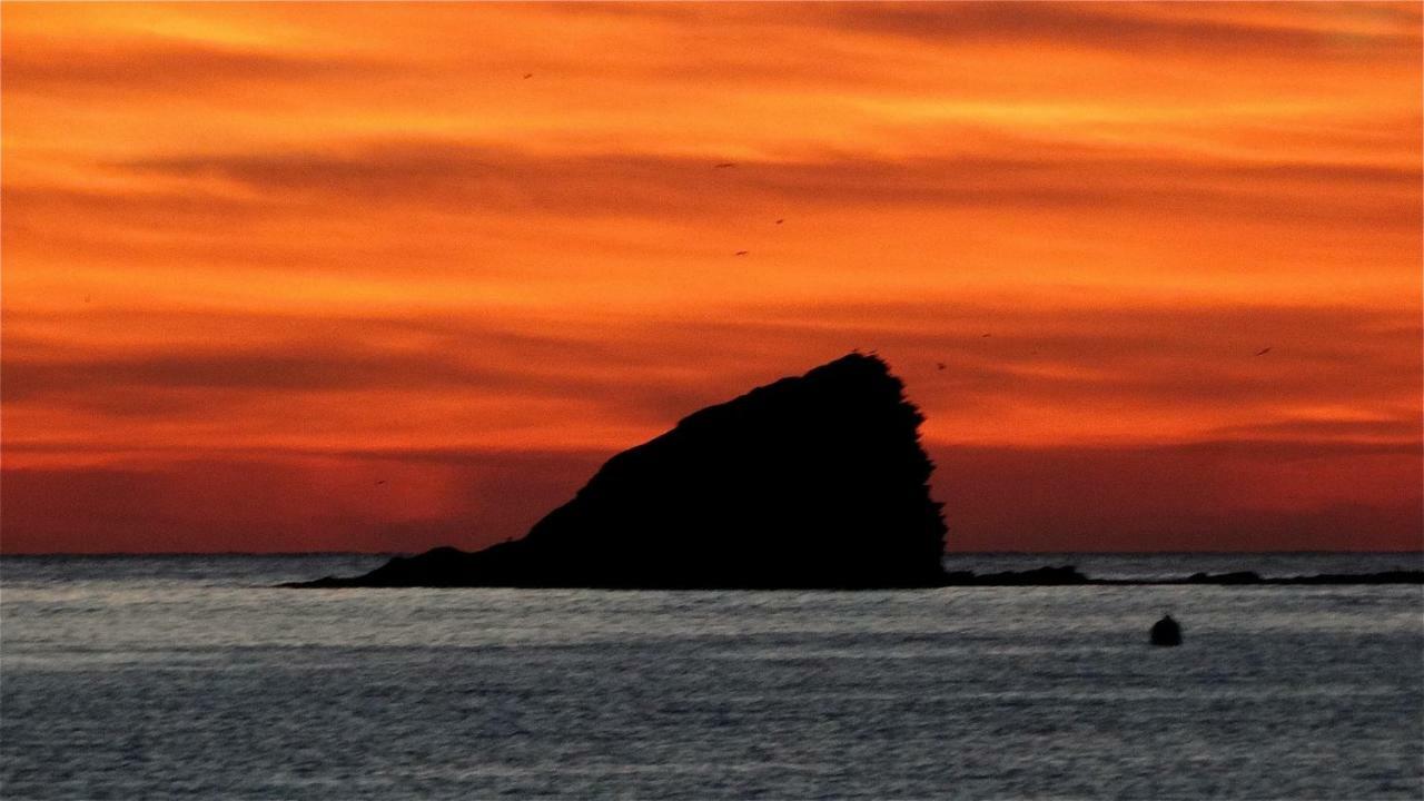 Apartamento - Planta baja