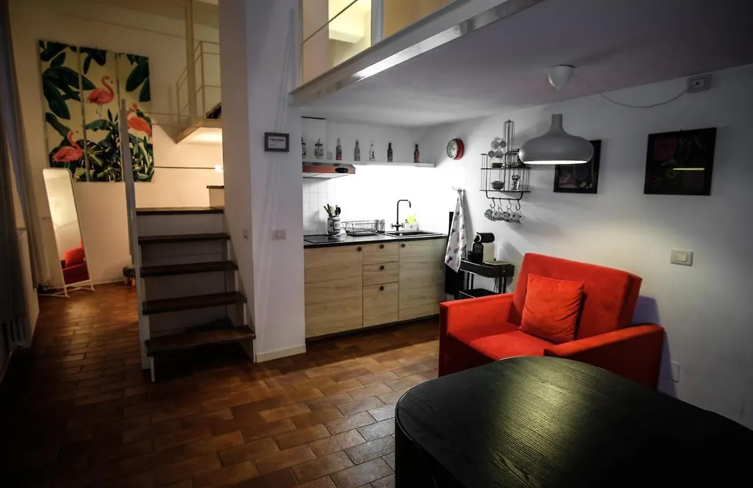 Cozy House-1