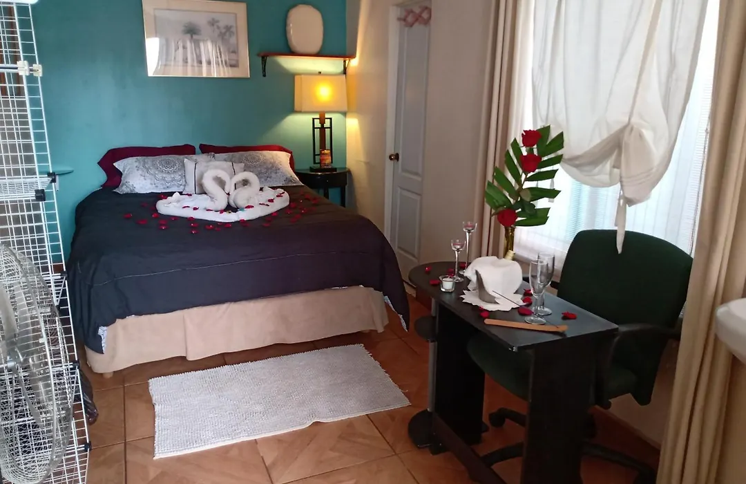 Loft Estudio El Faro - Zona Estero Beach-1