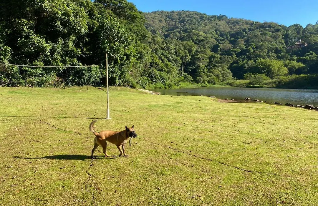 Belas Mairiporã-1