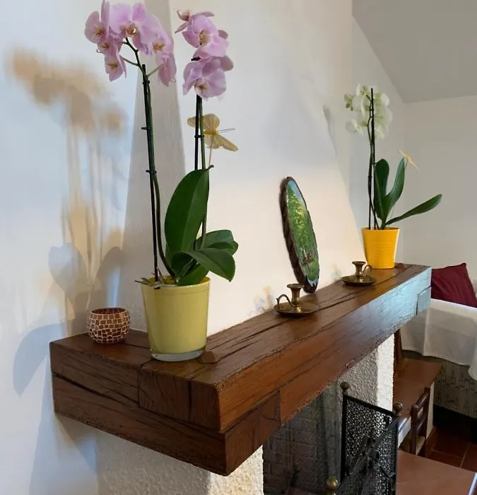 B&B Codivilla-1