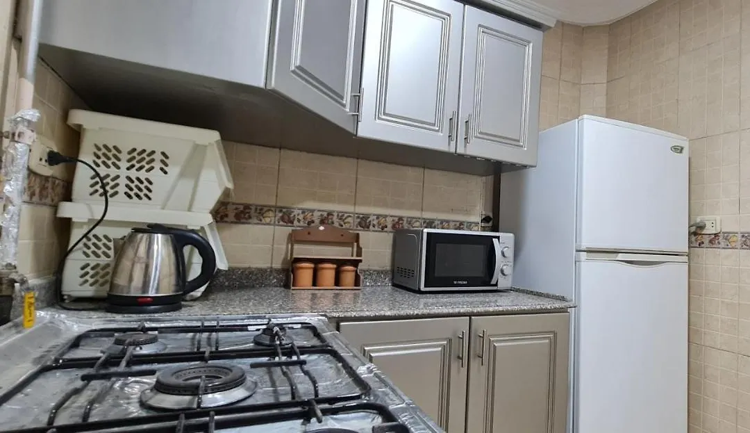 Comfy 3 Bedrooms Apartment In Cairo 96-1