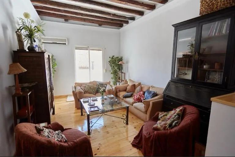 Atico Duplex Con Terraza En Puro Centro, 2 A 8 Pax-1