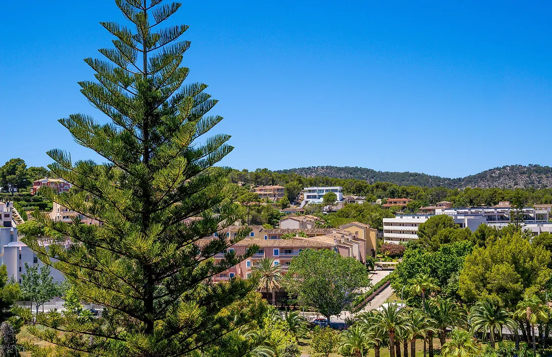 Las Palomas Apartments Econotels-1