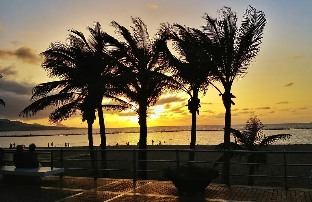 Brisamar Canteras-1