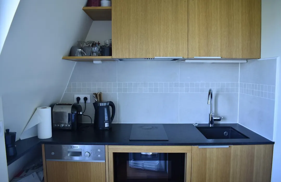 Fully Renovated Bright Studio With High View-1