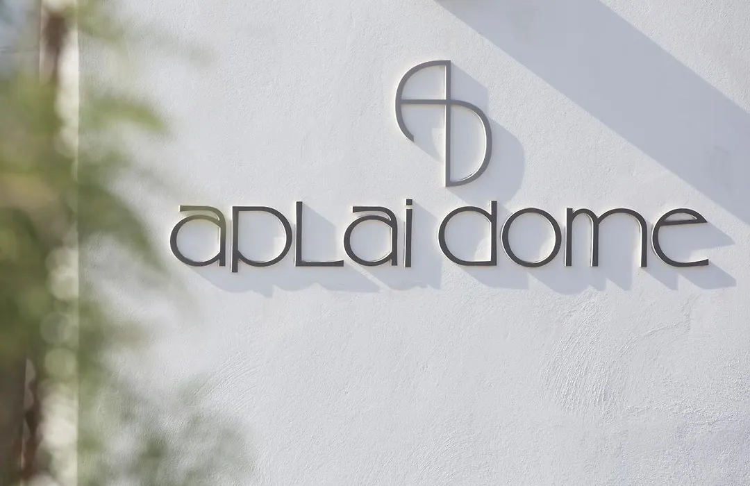 Aplai Dome-1