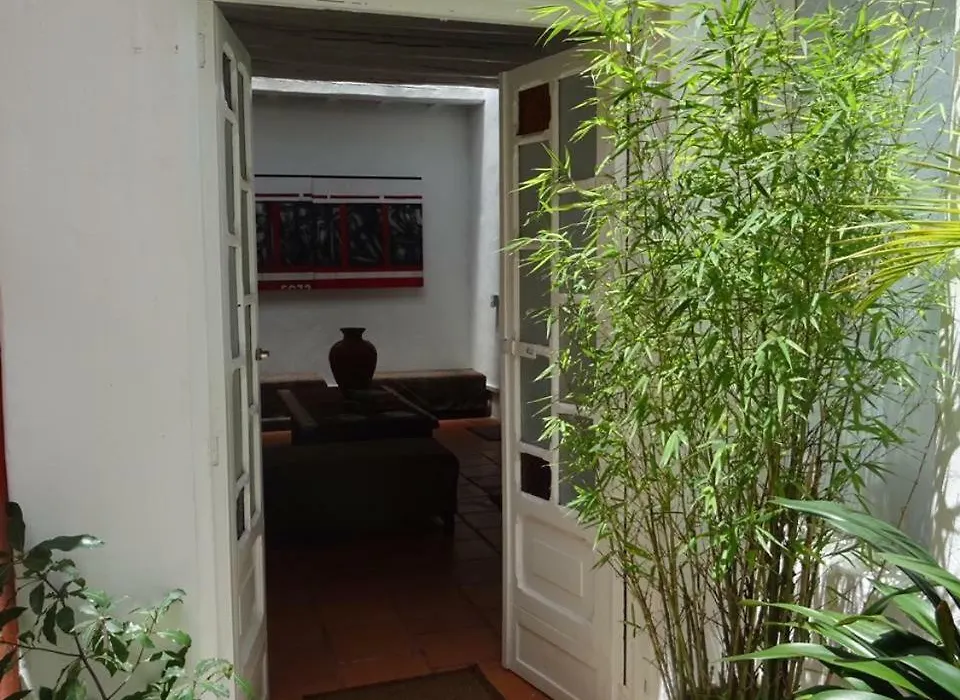 Casa-Arbol-1