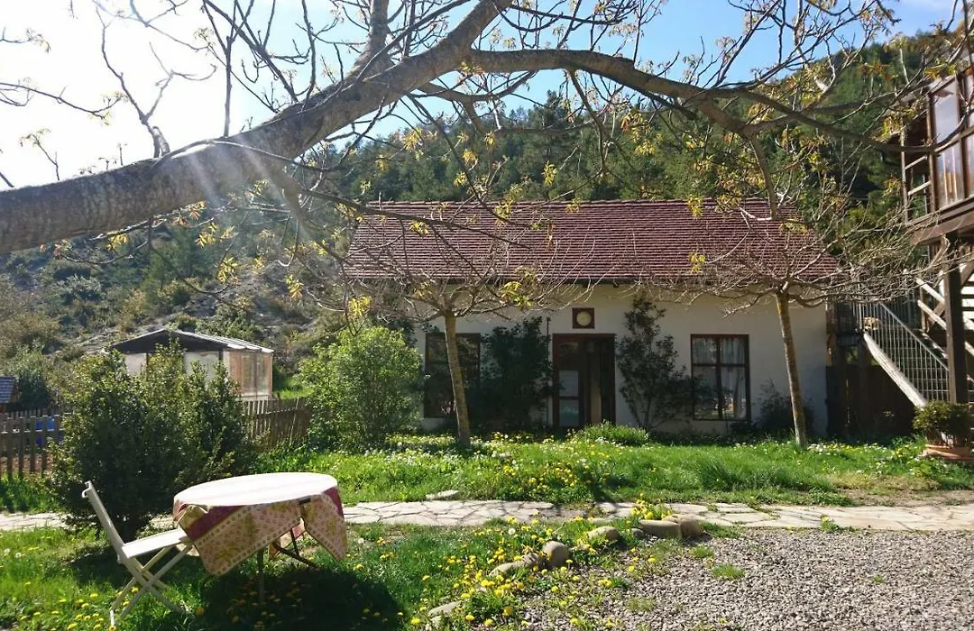 Casa Turreta-1