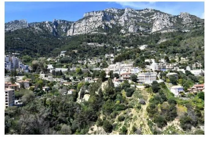 Luxurious Apartment In Monaco-1