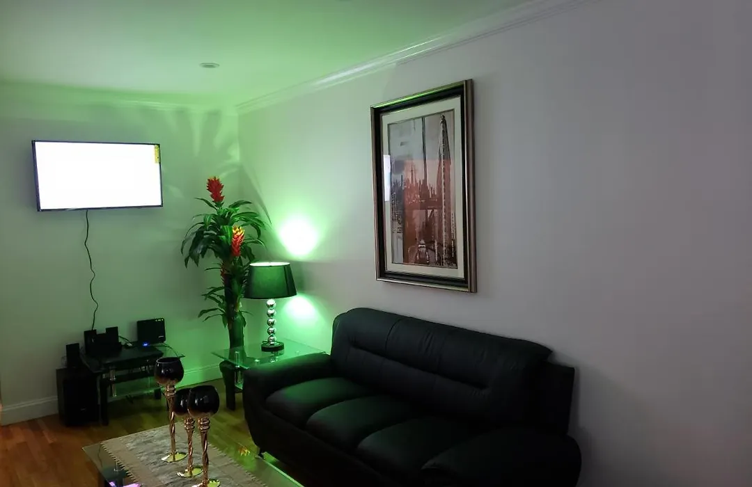 Comfortable Holiday Homestay-1