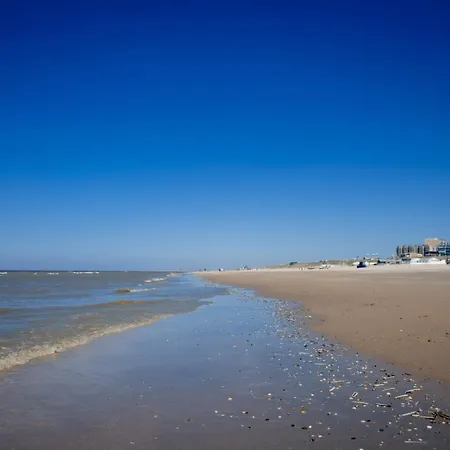Sea Cottage Zandvoort-2
