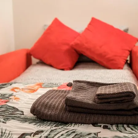 Cozy House-2