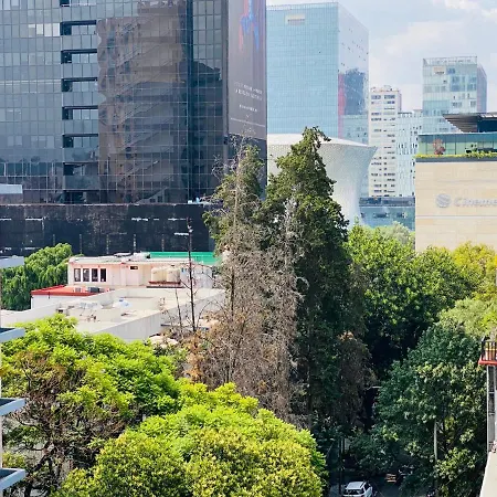 Allegro Polanco-3