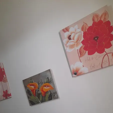 Casa chic-3