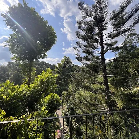 Canopy Villa-2