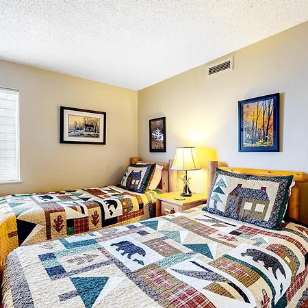 Gatlinburg Summit Woods Condo-2