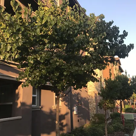 Shared Private Home At Doyle By Hoot Hotel-2