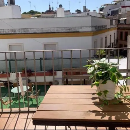 Sevilla'S Bed And Terrace-3