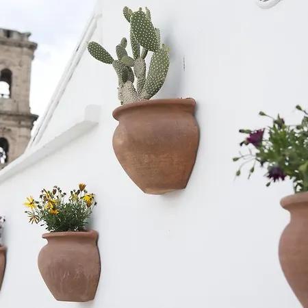 Casa Perugini-3