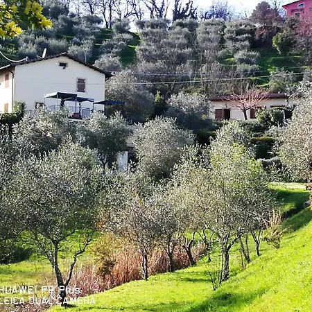 Tenuta Degli Obizzi-2