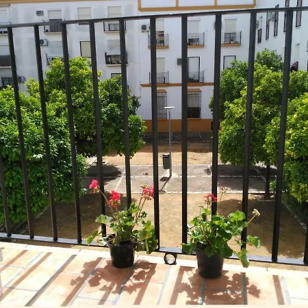 Apartamento Plaza Compania Jerez-2