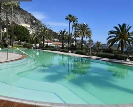 Luxurious Apartment In Monaco-2