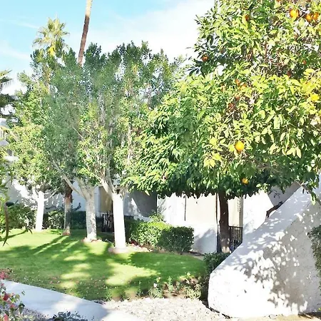 Palm Canyon Villas-2