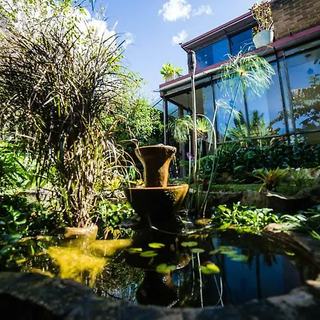 Casa de vidro-3