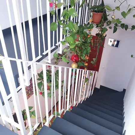 La Casa de Vacaciones-3