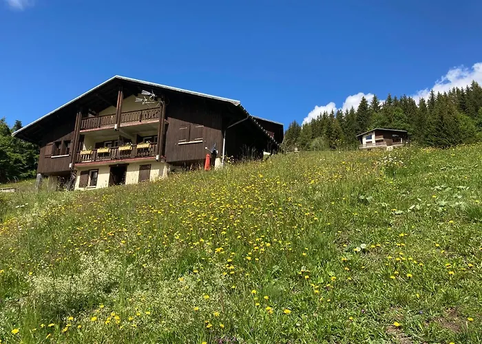 Demi Chalet Le Lachat