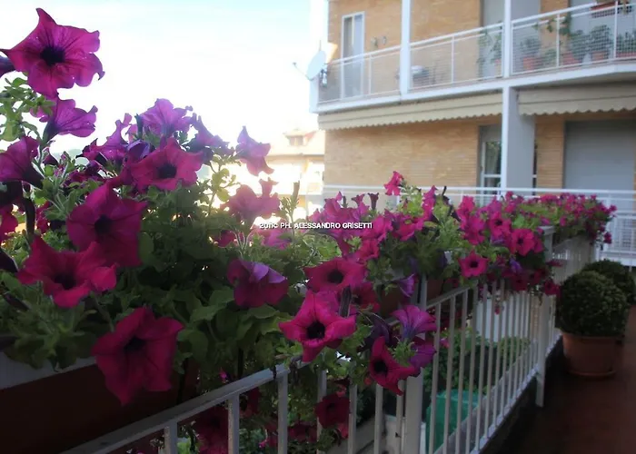  B&B Paradisett