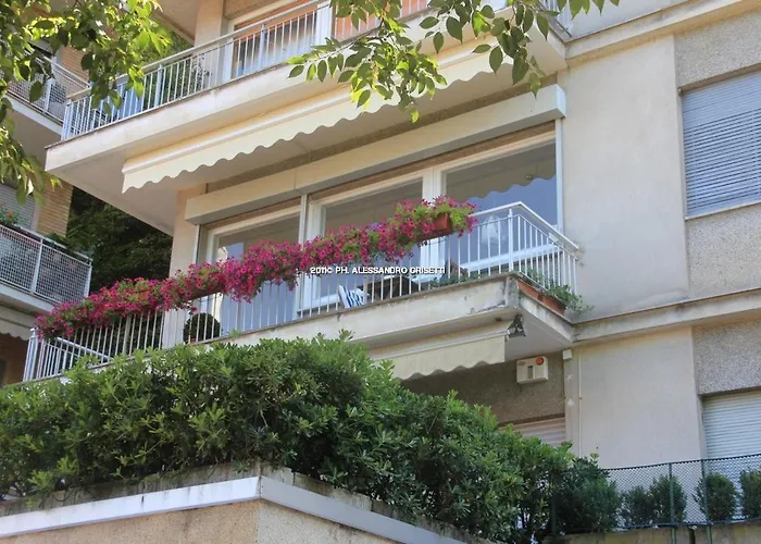  B&B Paradisett