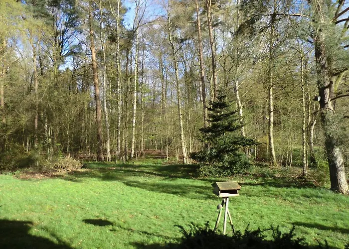 Ferienwohnung Bachforelle