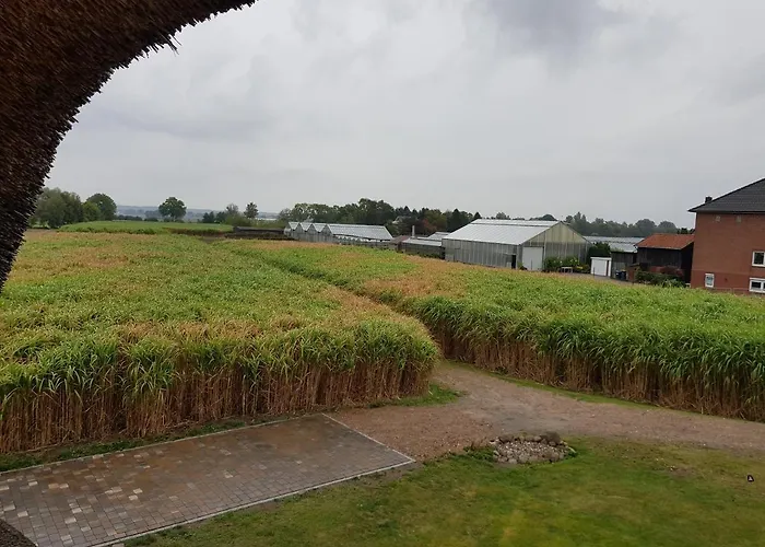 Hausdeich