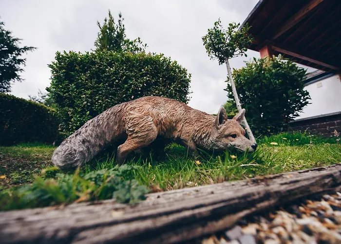 Fox Country Inn