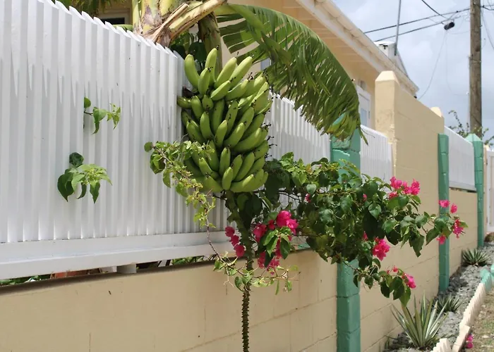 Tropical Garden Cottage Antigua