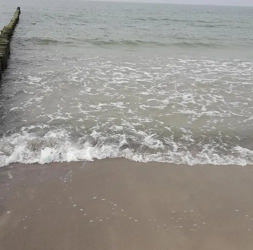 Strandlaeufer