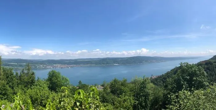 Ferienwohnung Haid Bodensee, Umgebung Bodman-Ludwigshafen, Radolfzell, Ueberlingen, Luxus Fewo Haid