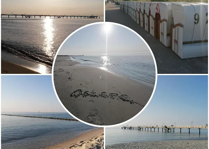 Ostsee-Wiesenpieper