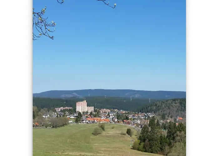 Harz Zeit