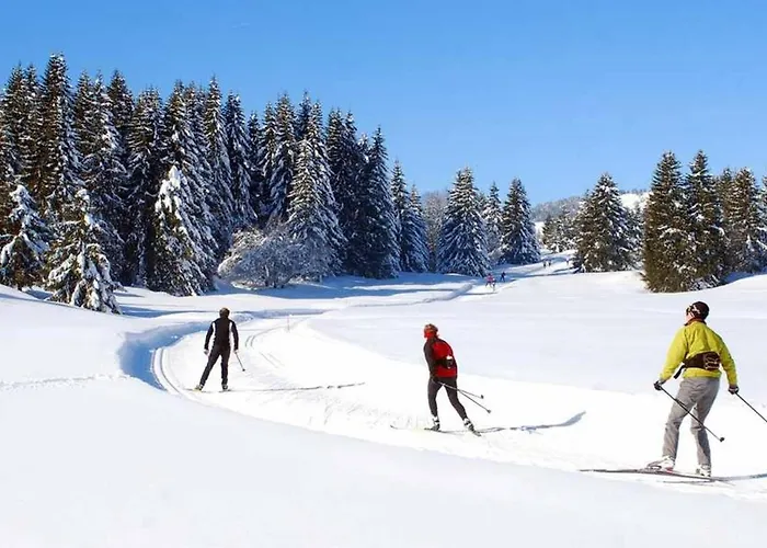 Le 211,Ski Et Randonnee, Wifi, Lave Linge , Ascenceur,Parking Gratuit