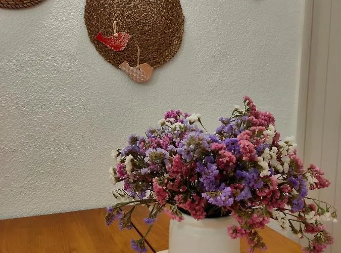 Studio Pedras D'El Rei