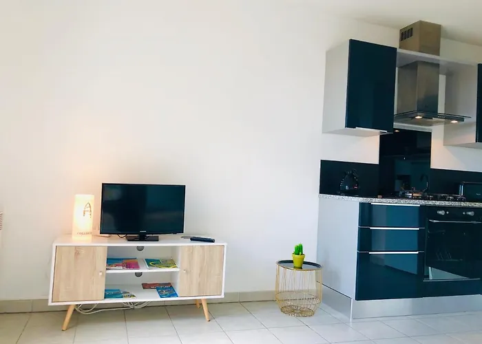 Appartement Sous Le Soleil Vue Mer, Parking Inclus , Clim ,Wifi