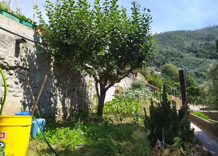 Casa Da Rota Dos Moinhos