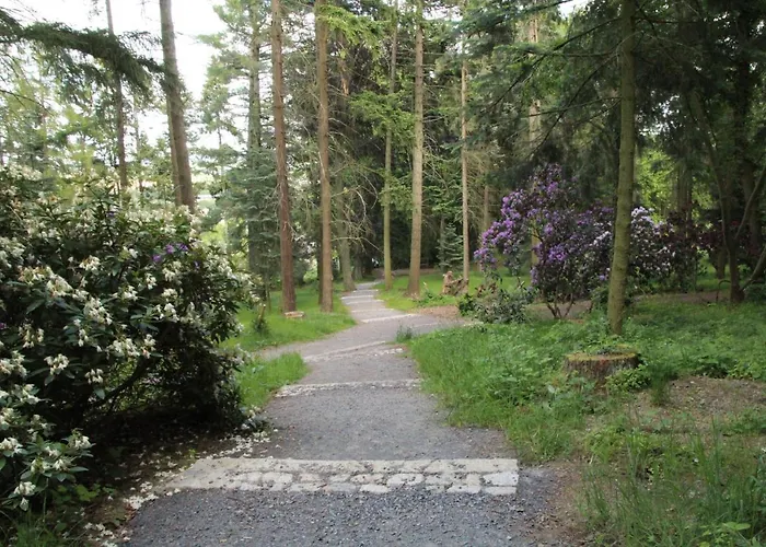 Apartment Am Hutberg